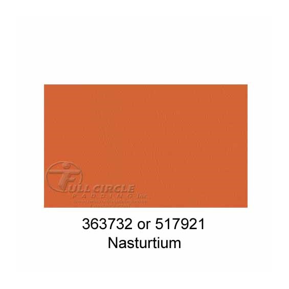 517921Nasturtium