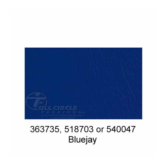 518703-Bluejay-2024