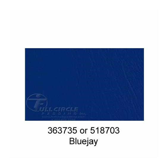 518703Bluejay