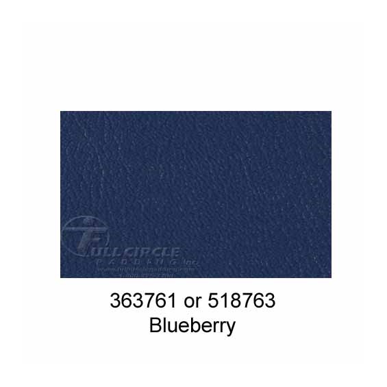 518763Blueberry