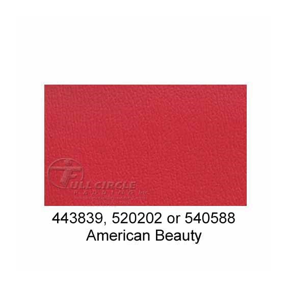 520202-American-Beauty-2024