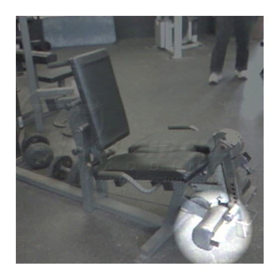 5304LegExtensionAnkle
