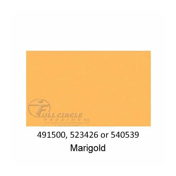 540539-Marigold-2022
