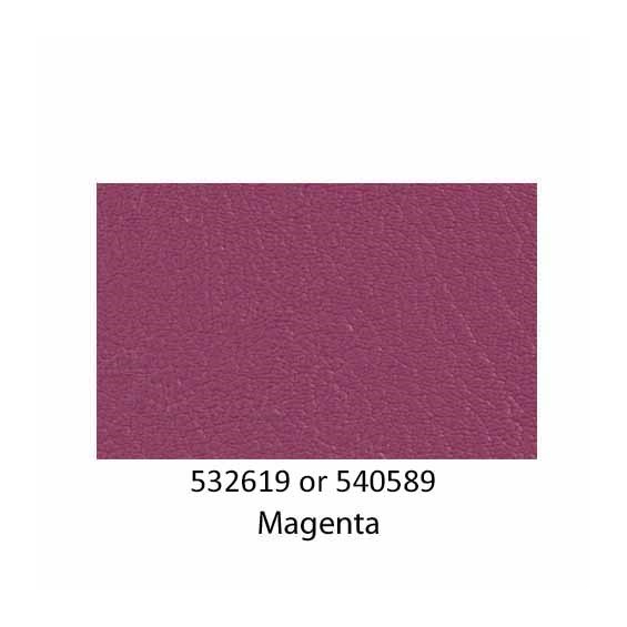 540589-Magenta-2022