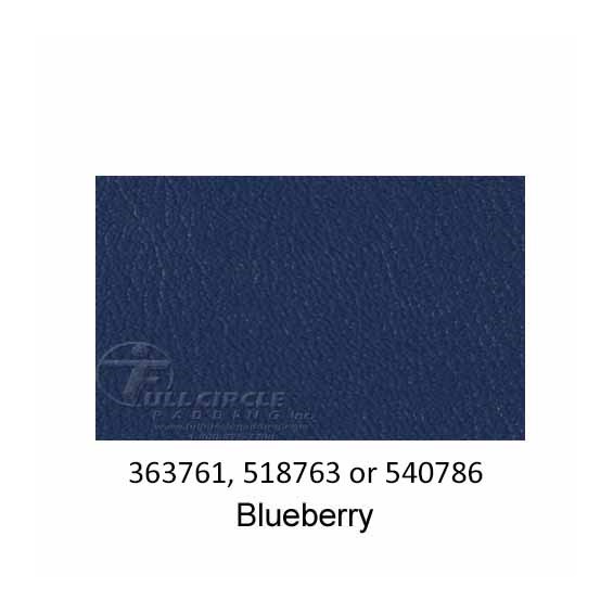 540786-Blueberry-2022