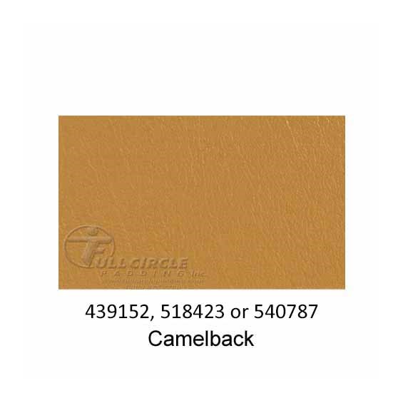 540787-Camelback-2022