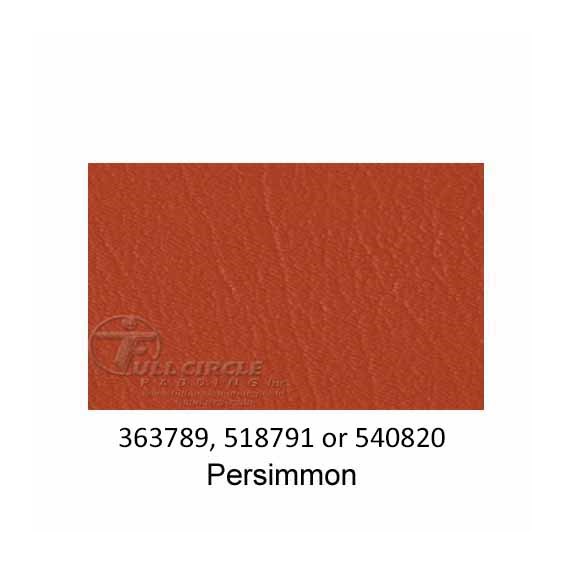 540820-Persimmon-2022