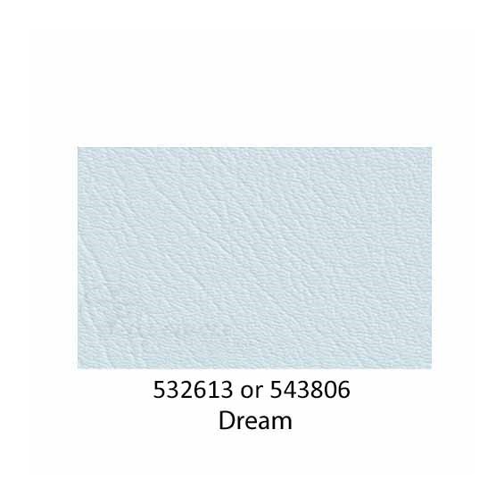 543806-Dream-2022
