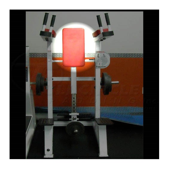 A269StandingCrunchBack