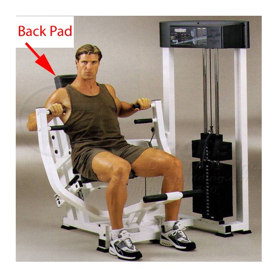 AP2600SeatedChestBack