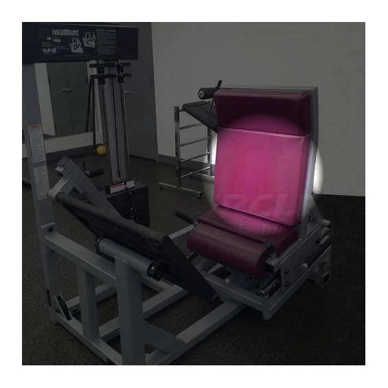 AP2800LegPressNewBack