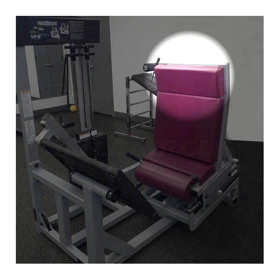 AP2800LegPressNewHead