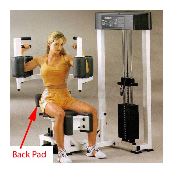 AP300RotaryTorsoBack