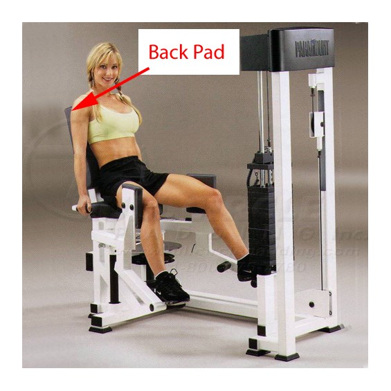 AP3900HipAbductor500Back