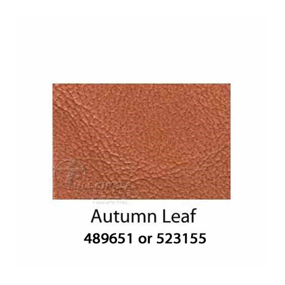AutumnLeaf2015