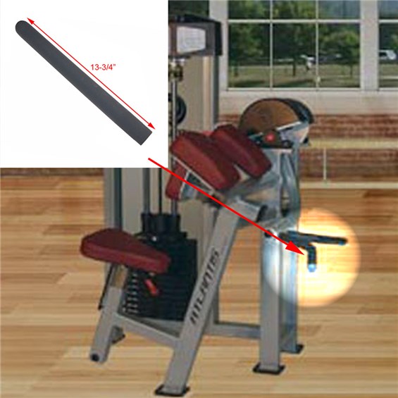 B157-Bicep-Curl-GRP1181375PVC