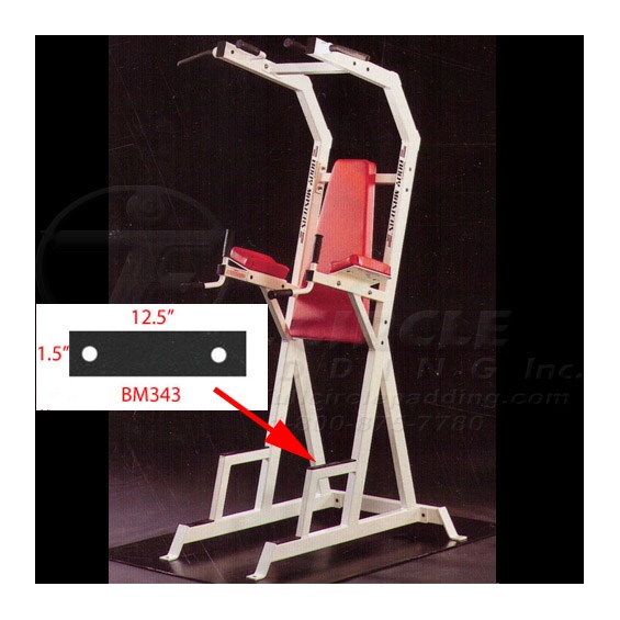 BE229LegRaiseBM343