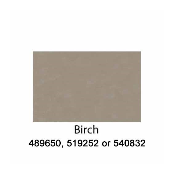 Birch-540832-2022