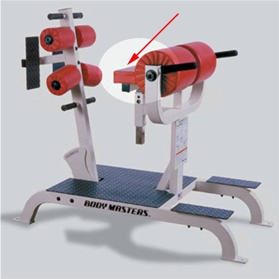 Body-Masters-Glute-Ham-AG1000-Thigh-Pad