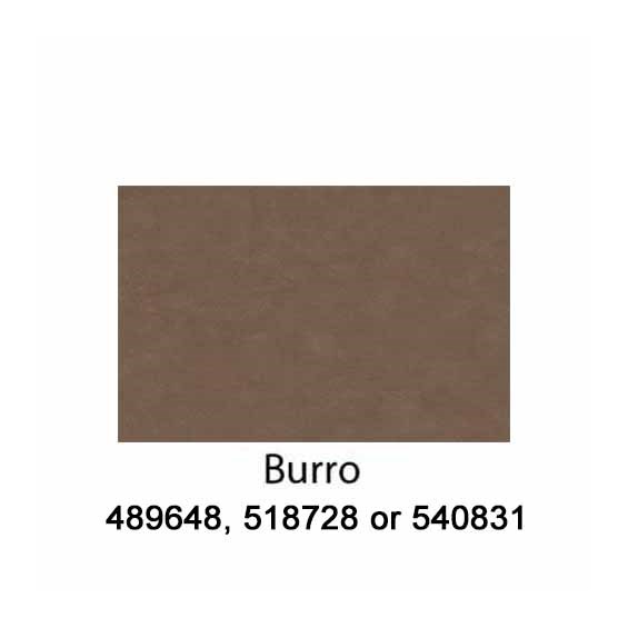 Burro-540831-2022