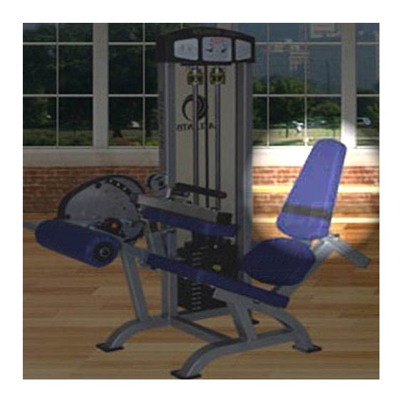 C108SeatedLegCurlBack