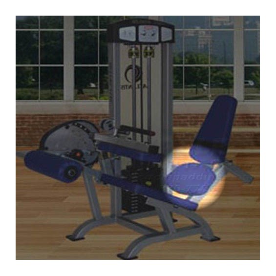 C108SeatedLegCurlLowBack