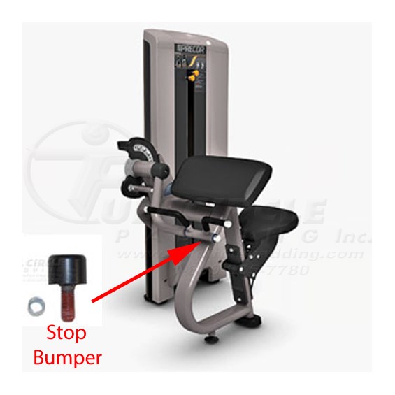 C204ECBicepcurlPRE12