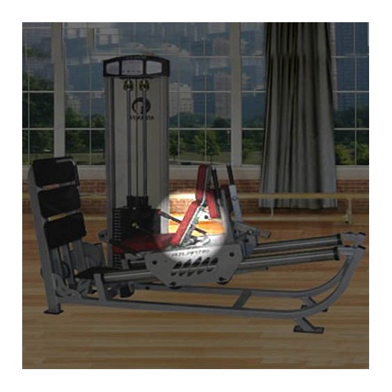 C403legpressBack