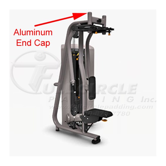 C505ECRearDeltPecFlyPRE486