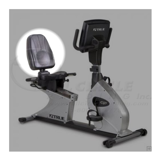 CS800RecumbentBikeX500Back