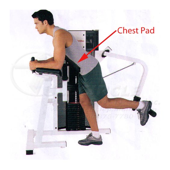 CSGMGlutemachineChest