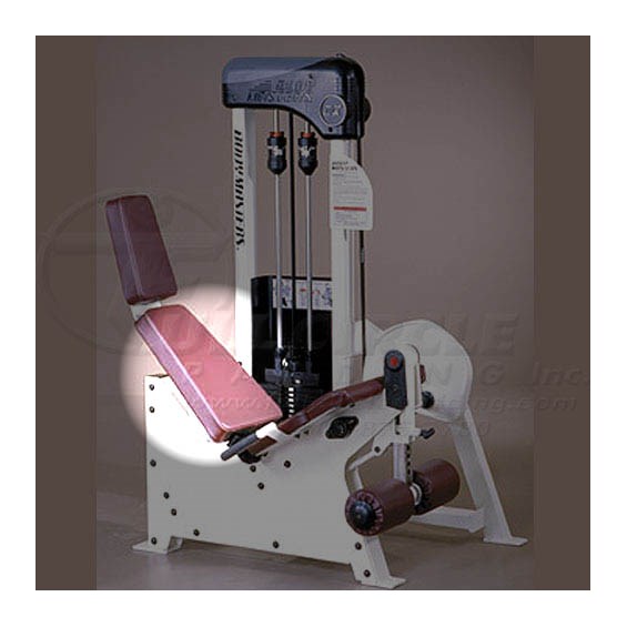 CX109LegExtensionBack