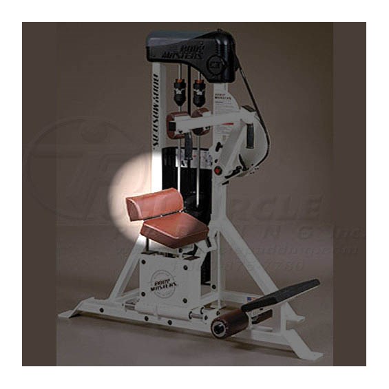 CX220BSeatedAbdominalBack
