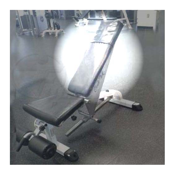 ClubTechAdjustableBenchX500Back