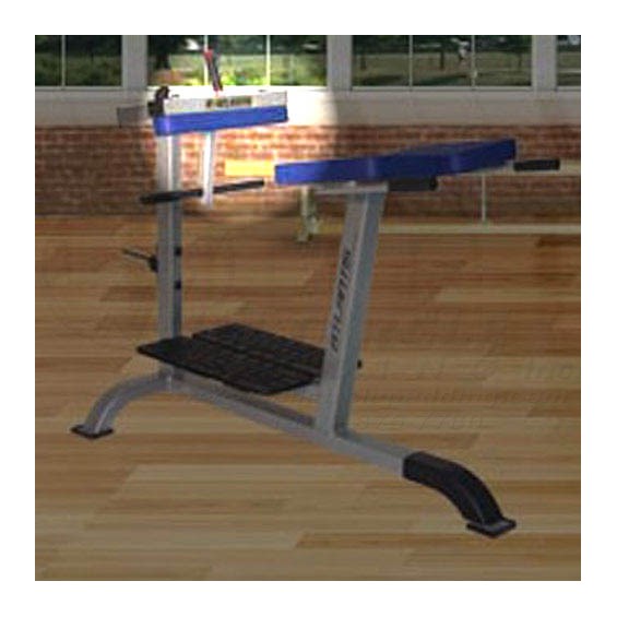 D127HyperExtensionAnkle