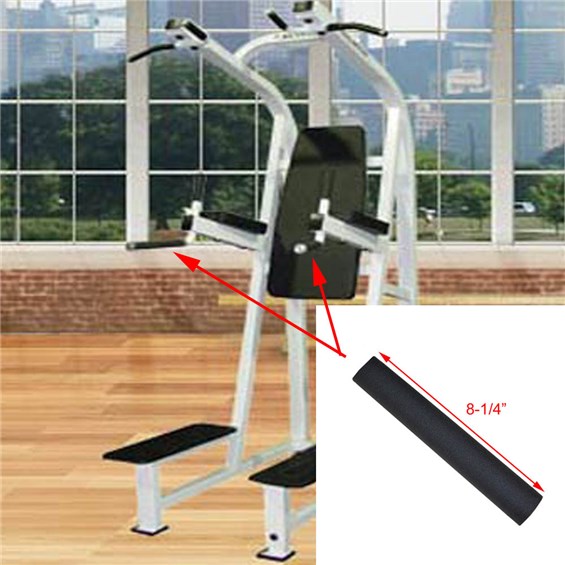 D130-Chin-Dip-Leg-Raise-GRP156825