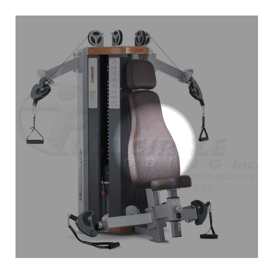 DFT5000ShoulderChestBack