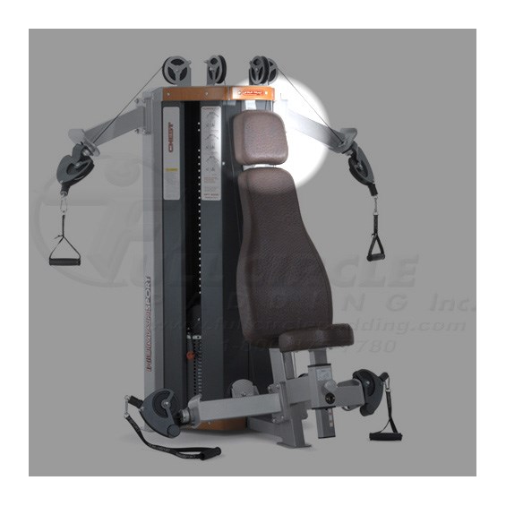 DFT5000ShoulderChestHead