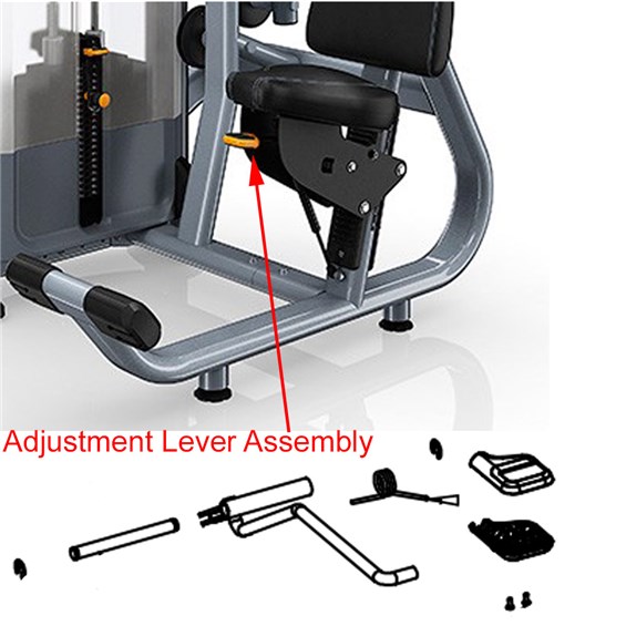 DSL0714-Abdominal-PRE577