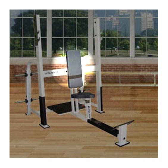 E248OlympicShoulderPressBack