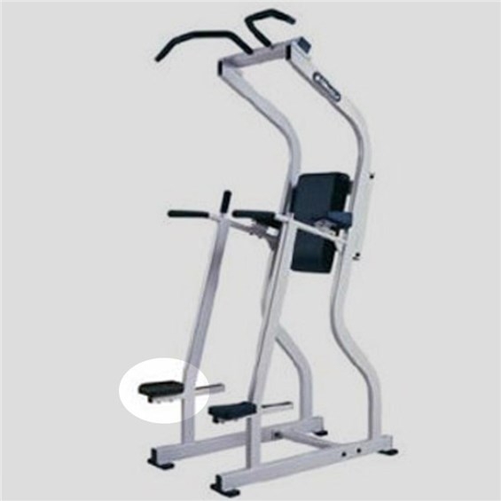 F2CD-Leg-Raise-Chin-Dip-NA565