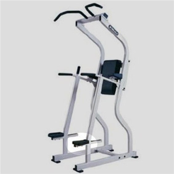 F2CD-Leg-Raise-Chin-Dip-NA566