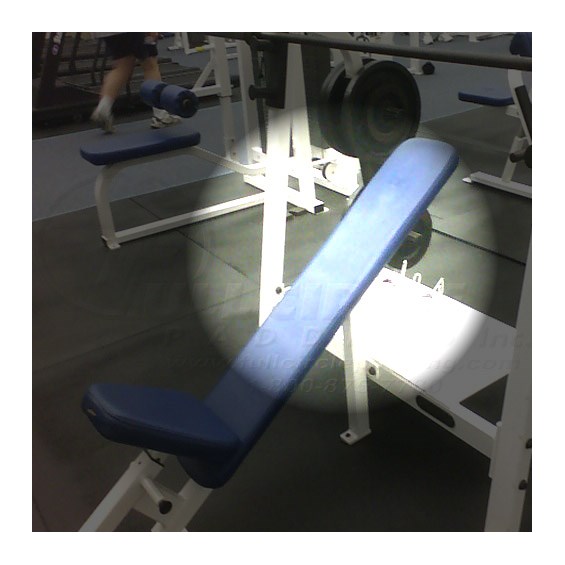 F2OIBInclineBenchBack