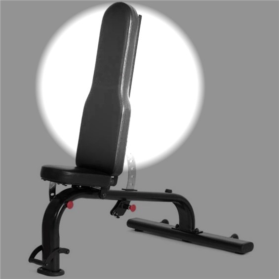 Gronk_Fitness_FID_Bench_Back