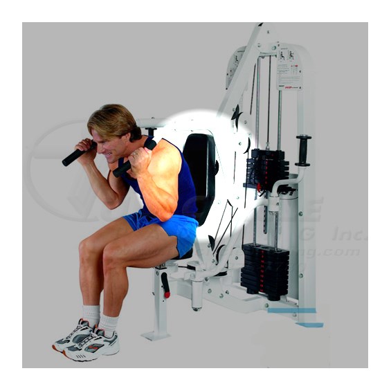 HD1300AbdominalPecFlyBack