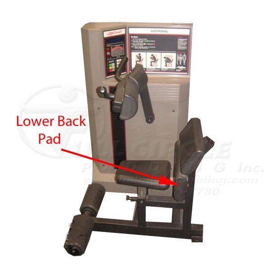 LifeCircuitAbdominalLowerBack