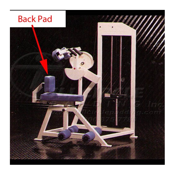 MD220AbdominalBack