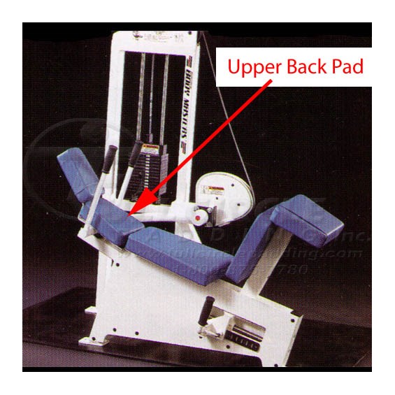 MD221AAbdominalCrunchUpBack