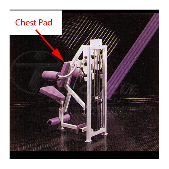 MD321LateralRaiseChest