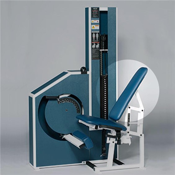 Back Pad Full Circle Padding